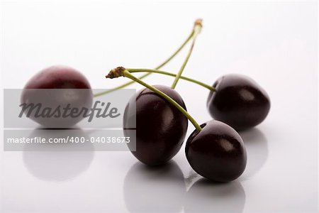 The Wild Cherry or Sweet Cherry on the white background.