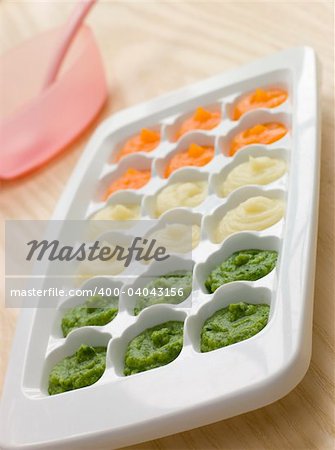 Pureed Baby Food in a Ice Cube Tray