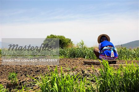 women working in farm