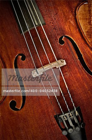 great image of a cello or violin