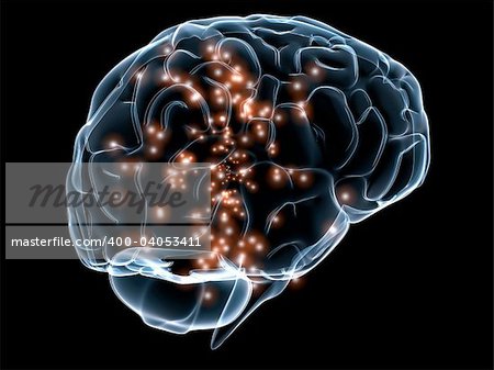 3d rendered anatomy illustration of an active transparent brain