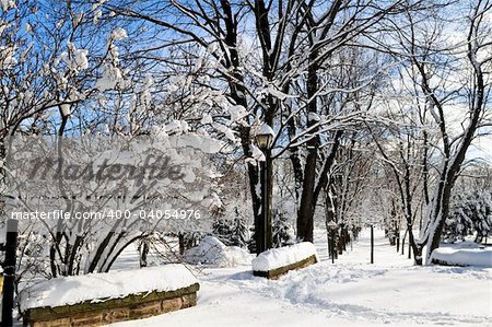 Winter park in Toronto after heavy snowfall