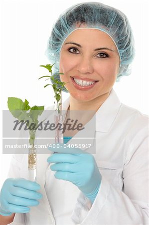 Scientist holds plants growing in test tubes