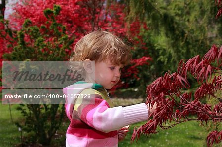 A child in the garden with red trees.