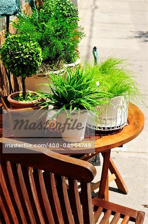 Potted green plants on wooden patio table