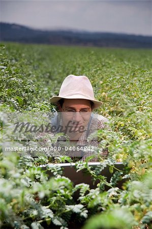 happy farmer in the fields with a laptop computer