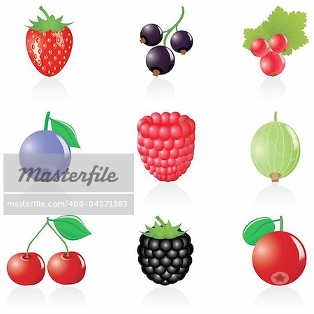 Set with 9 ripe berry icons