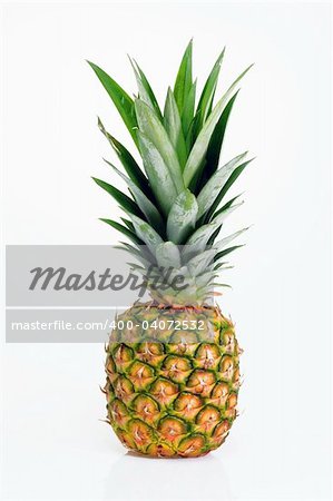 Pineapple fruit isolated on a white background.