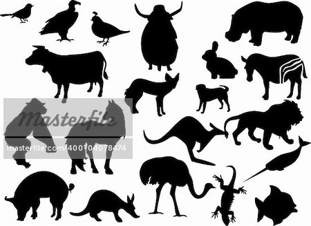 Animals black silhouettes vector illustration