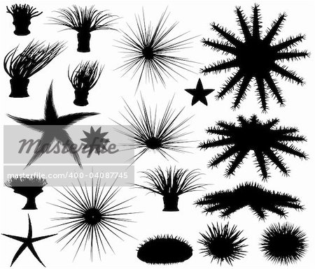 Set of editable vector silhouettes of sea lifeforms