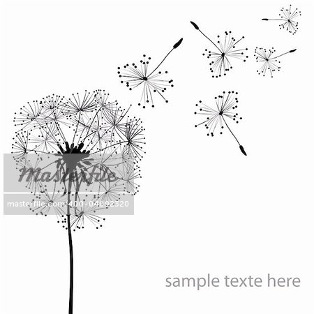 two dandelions in wind on light blue background