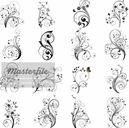 Set of floral design elements vector