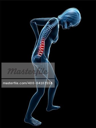 3d rendered illustration of a transparent female body with highlighted spine