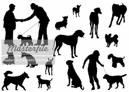 Vector dog collection on a white background