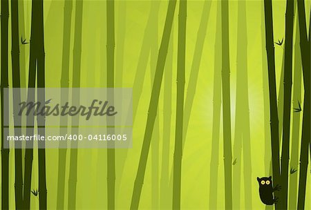 Bamboo Background. Nature Background Series.