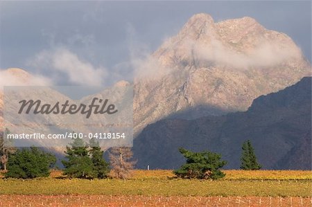 Landscape of vineyards and mountains, Cape Town area, South Africa