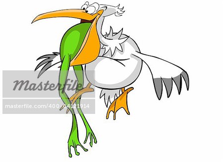 illustration of flying pelican with a frog in beak. Isolated on white background.