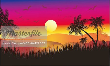 Landscape of Tropical Sunset with Palms and flying birds