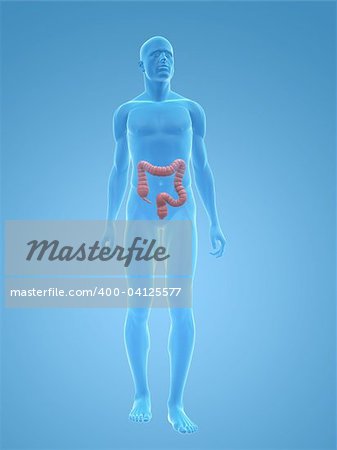 illustration de rendu 3D d'un corps masculin transparent avec deux points mâle