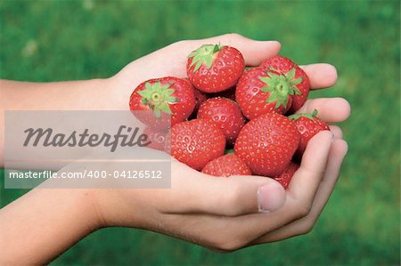 Hände halten Erdbeeren