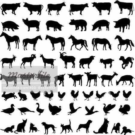 big collection of farm animals silhouettes - vector