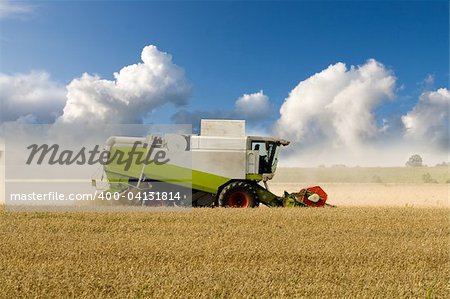 Ernte Mais in ein großes Feld kombinieren