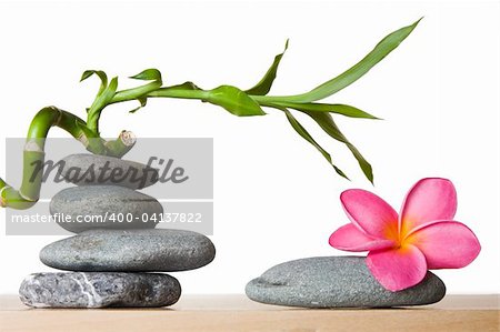 Stone stacks with tropical flowers and lucky bamboo