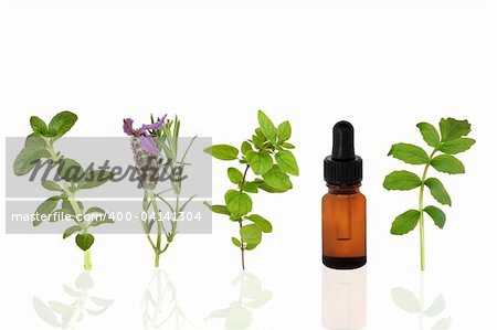Sélection du Herb feuilles de menthe poivrée, lavande, origan et valériane avec une aromathérapie huile essentielle compte-gouttes bouteille en verre, sur fond blanc.