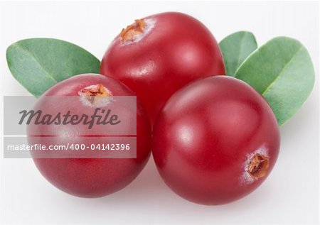 Cranberries on a white background