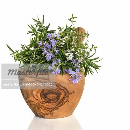 Rosemary and thyme herbs in flower in an olive wood mortar with pestle, over white background.