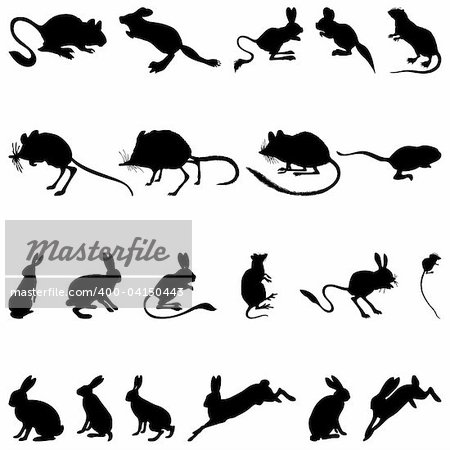 Collection of rodents silhouettes. Vector illustration.