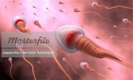 Natural insemination, Sperm, 3D image