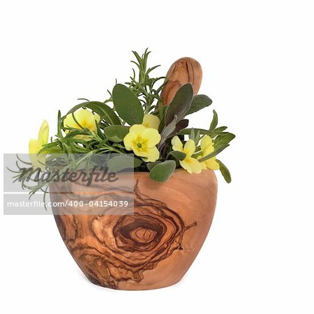 Sage and rosemary herb leaf sprigs with primrose flowers in an olive wood pestle with mortar, over white background.