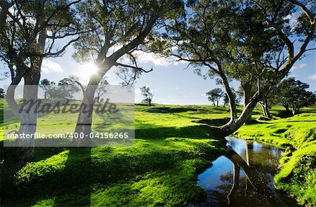 Adelaide Hills Landscape