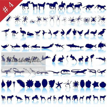 Set of  different animals, birds, insects and fishes  vector silhouettes