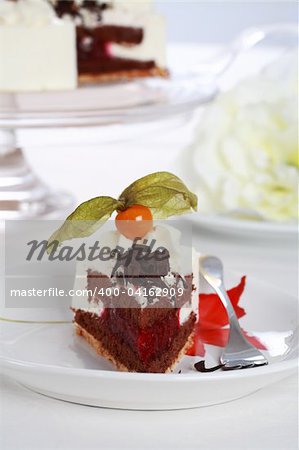 Piece of delicious sweet cake garnished with fruist