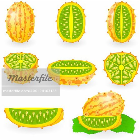 Vector illustration of kiwano also known as African horned melon or cucumber, hedged gourd, English tomato, melano