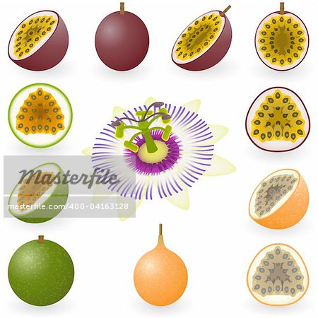 Vector illustration of maracuja, granadilla and flower