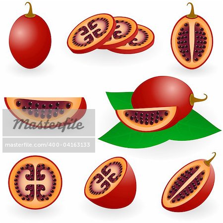 Vector illustration of tamarillo fruit or tree tomato