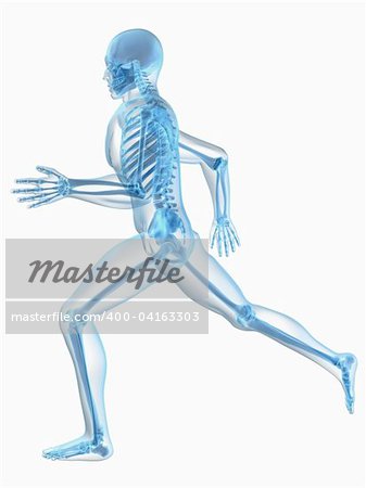 3d rendered x-ray illustration of a running skeleton