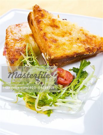 Sandwich with cheese and salad  on white plate