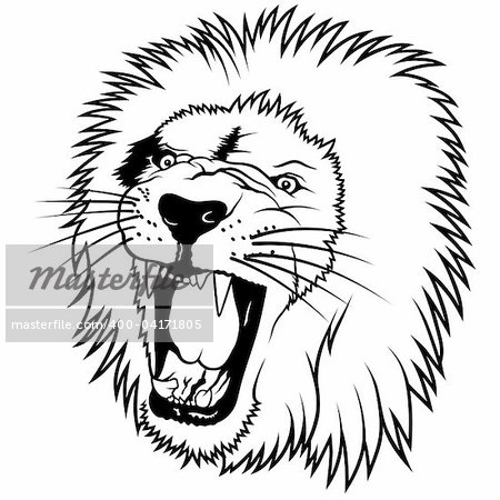 Lion 2010_01, Lion Head - Hand Drawn illustration