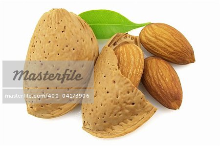 Fresh almond