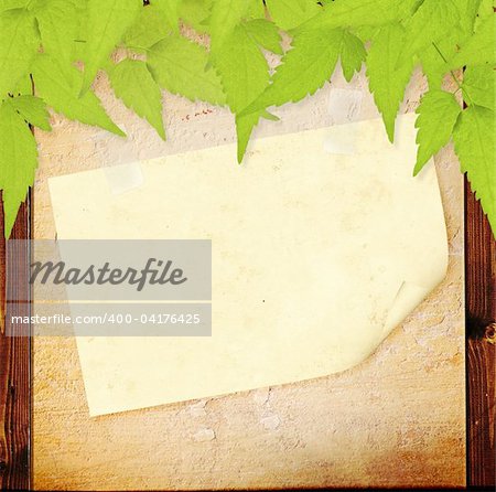 Grunge background with green leafs and paper sheet