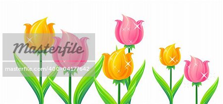 color tulip field on the white background