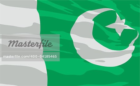 Vector flag of Pakistan