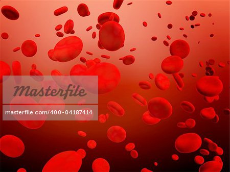 Many red erythrocytes, floating on an artery