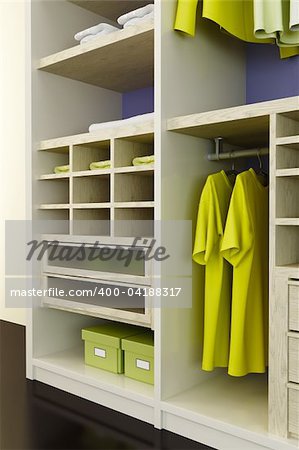 Inside the modern closet 3d rendering