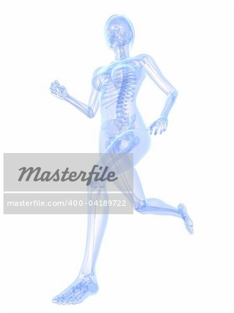 3d rendered x-ray illustration of a running woman