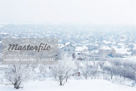 Ukrainian village under snow p